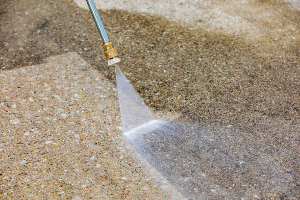 Best Animal Enclosure Cleaning  in West Portsmouth, OH
